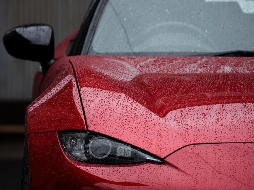 赤い車のボディに水滴が並ぶ洗車後の撥水仕上がり