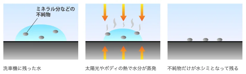 水滴の蒸発によりミネラル分がボディに残留する仕組みの図