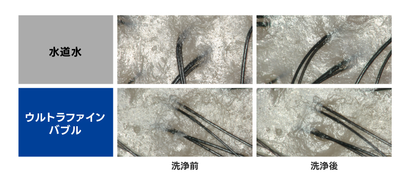 頭皮の汚れ落ち比較実験