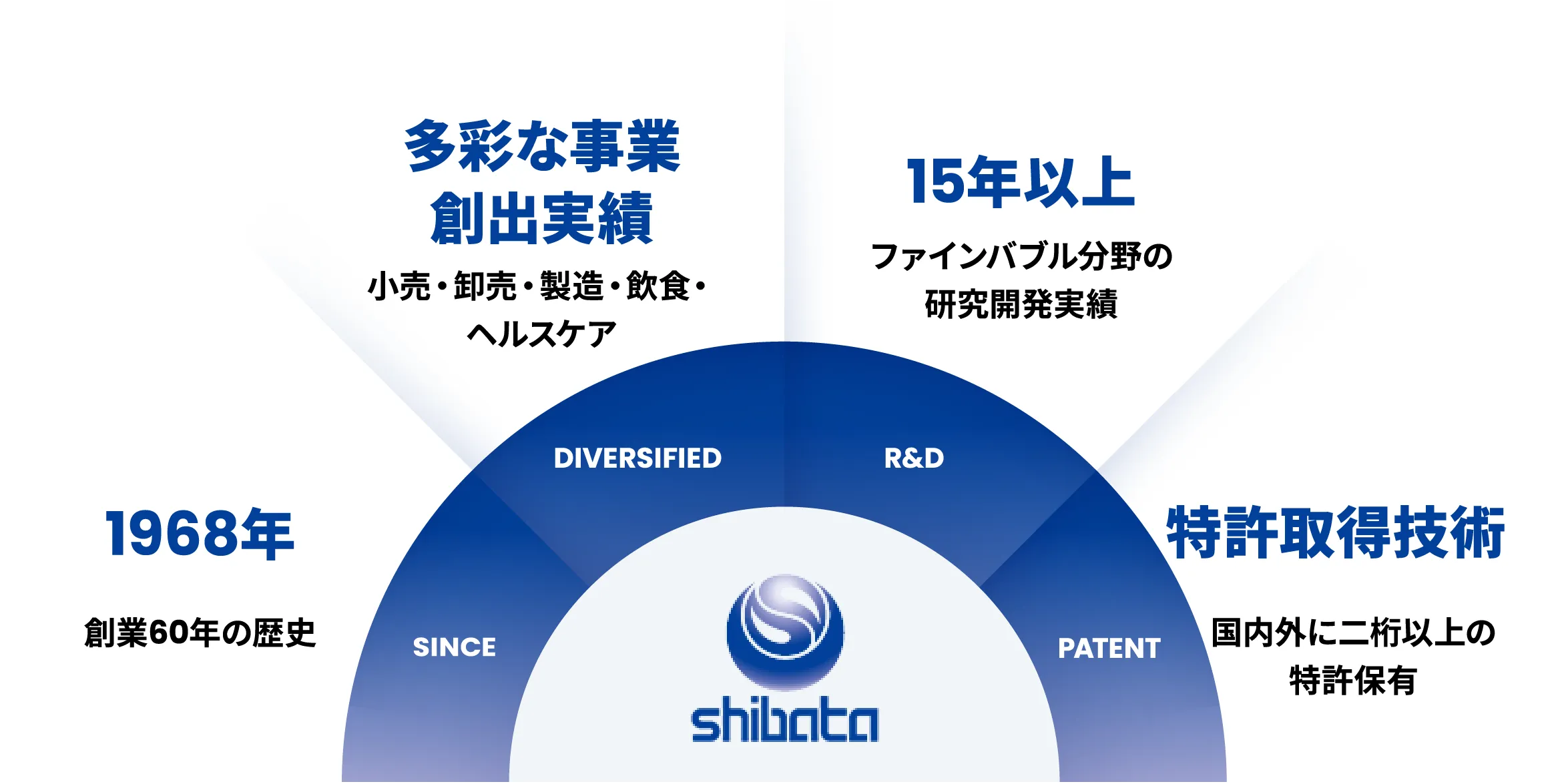 シバタの沿革と実績を表す図