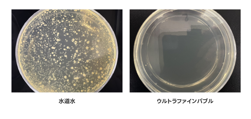 菌洗浄5秒後の汚れ落ち比較