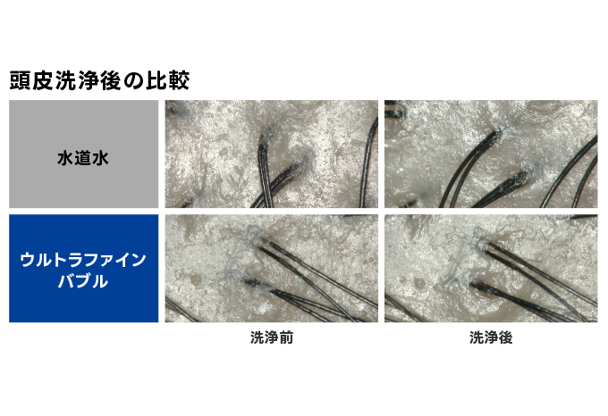 頭皮の汚れ落ち比較実験